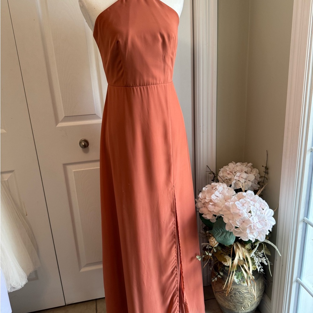 Birdy Grey Strapless Terracotta Gown